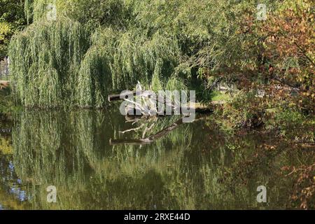 Bilder aus dem Zoo in Dortmund im Spätsommer Stockfoto