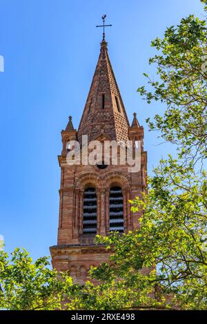 Blick auf die Fassade und den Turm der Kirche Eglise du Temple Neuf auf der Grande Ile, dem historischen Zentrum von Straßburg, Elsass Frankreich, eingerahmt von grünen Bäumen Stockfoto