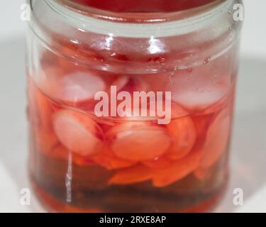 Eingelegte Radieschen in einem Glasgefäß mit Salzlösung, roter Haut, weißem Fleisch Cherry Belle Sorte, aus dem Gemüsegarten selbst angebaut Stockfoto