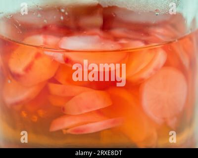 Eingelegte Radieschen in einem Glas mit Salzlösung, rotes, weißes Fruchtfleisch Cherry Belle Varietät, hausgemacht im Gemüsegarten Stockfoto