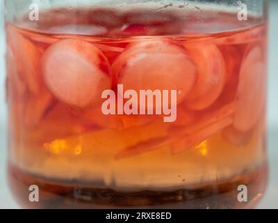 Eingelegte Radieschen in einem Glas mit Salzlösung, rotes, weißes Fruchtfleisch Cherry Belle Varietät, hausgemacht im Gemüsegarten Stockfoto