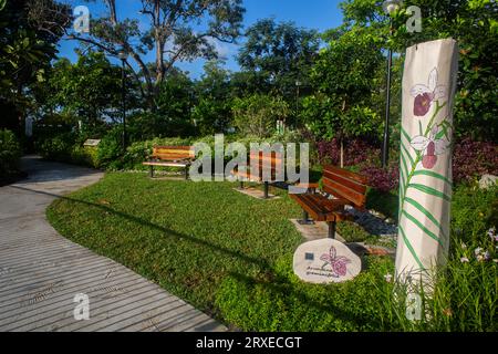 Der KPMG Wellness Garden ist eine inklusiv eingerichtete Naturoase für Parkbesucher aller Altersgruppen und Fähigkeiten. Blick auf die Landschaft, East Coast Park, Singapur. Stockfoto