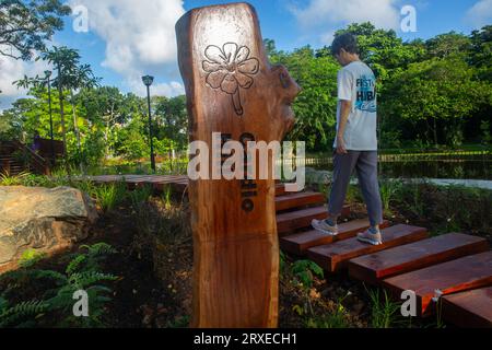 Cardio Hill ist so konzipiert, dass er eine Reihe von Treppen auf und ab einem Hügel nachahmt und bietet Möglichkeiten für ein Herz-Kreislauf-Training. East Coast Park. Singapur. Stockfoto