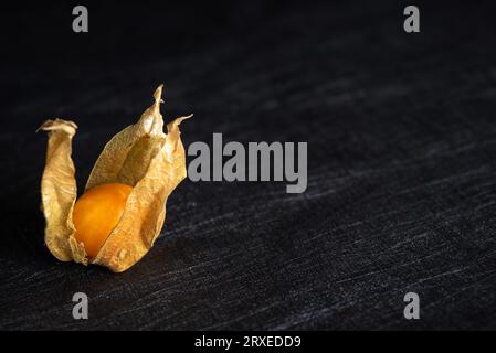 Peruanische Erdbeere, Physalis peruviana - zusätzlich zu Gerichten, Desserts, Salaten. Die Superfrucht der alten Azteken beeinflusst den Körper wie ein Antibi Stockfoto