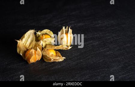Peruanische Erdbeere, Physalis peruviana - zusätzlich zu Gerichten, Desserts, Salaten. Die Superfrucht der alten Azteken beeinflusst den Körper wie ein Antibi Stockfoto