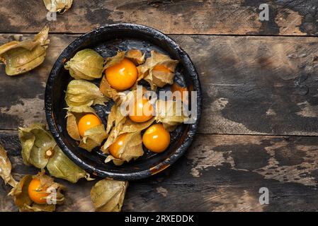 Peruanische Erdbeere, Physalis peruviana - zusätzlich zu Gerichten, Desserts, Salaten. Die Superfrucht der alten Azteken beeinflusst den Körper wie ein Antibi Stockfoto
