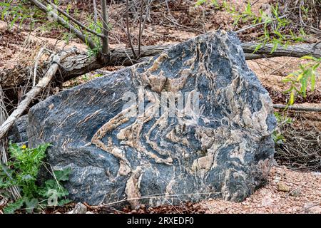 Geologische Granit- und Felsformationen im Texas Hill Country, Enchanted Rock State Park, Texas Stockfoto