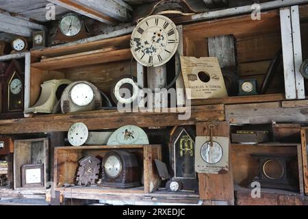 Antike und alte Uhren, Zifferblätter und andere Teile sitzen auf staubigen Holzregalen in einem alten baufälligen Gebäude im ländlichen Schottland Stockfoto