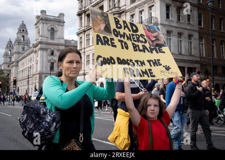 Nach einer Reihe von Angriffen und Todesfällen durch gefährliche Hunde marschieren Besitzer von (amerikanischen) XL-Rüden, deren Rasse verboten wurde, am 23. September 2023 durch Westminster in London, England. Die Regierung Verbot die Rasse am 15. September nach Vorfällen mit dem Bully XL Hybridtier und nahm sie auf die Liste der Hunde auf, die nach dem Dangerous Dogs Act verboten waren. Stockfoto