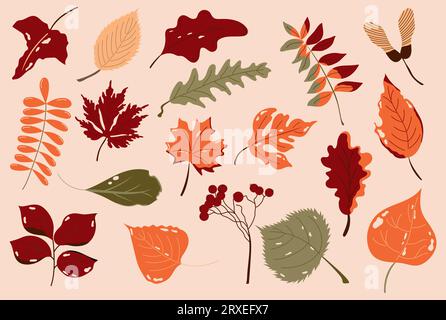 Farbenfrohes handgezeichnetes Set mit herbstlichen, zerrissenen Blättern und Beeren. Zweifarbiges und dreifarbiges Blattdesign. Stock Vektor