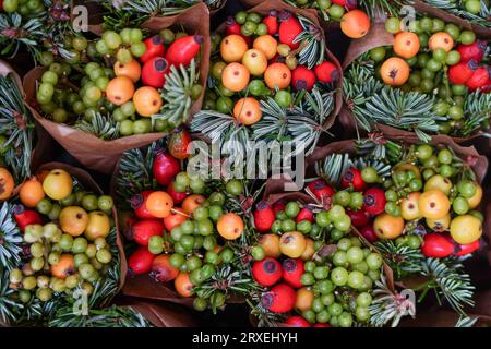 Wunderschöne Blumen der Herbst-Saison im Blumengeschäft im Freien Stockfoto