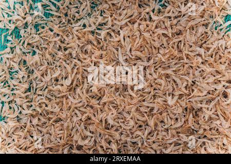 Jede Menge trockene Garnelen im Hintergrund zum Verkauf. Nahaufnahmen mit Pfahlstruktur in leuchtend hellrosa, blassen Farbtönen Stockfoto