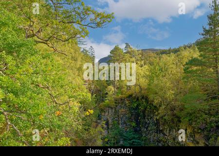 Corrieshalloch Gorge Braemore Junction Schottland die Spitze der Schlucht und Bäume im Spätsommer Stockfoto