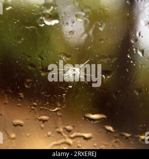 Ein Loch in gerissenem Glas. Stockfoto