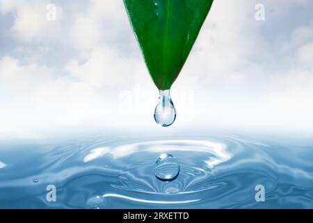 Ein Wassertropfen, der von einem grünen Blatt in ein ruhiges Gewässer fällt und Wellen und Spritzer erzeugt Stockfoto