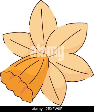 Handgezeichneter Narzissen-Narzissen-Narzissen-Blumen-Vektor Stock Vektor