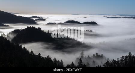 Bewaldete Hügel mit Nebel,â€ Sonomaâ€ County, Kalifornien, USA Stockfoto