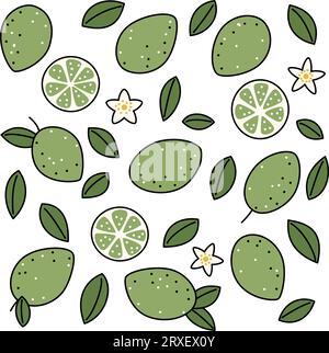 Set mit Linienelementen Limette, Blätter und Blumen zur Dekoration Stock Vektor