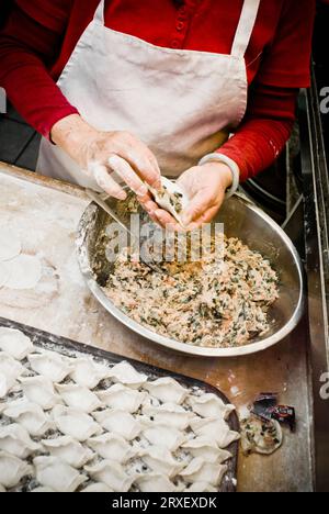 Nahaufnahme der Hände, die chinesische Klöße herstellen. Stockfoto