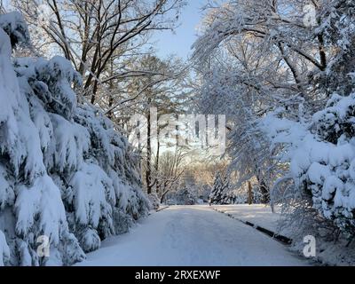 Verschneite Winterlandschaft mit blauem Himmel. Stockfoto