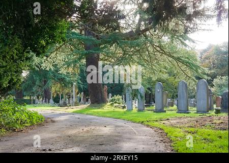 Ein gewundener Pfad durch den alten viktorianischen Friedhof, auf dem im Herbst die Sonne durch Bäume scheint Stockfoto