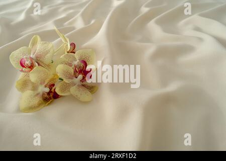 Tropische Orchideen auf glatter Luxus-Seide. Minimales Hintergrundkonzept. Die ästhetische Idee der Natur. Stockfoto