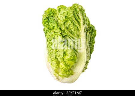 Grüner Kopfsalat auf weißem Hintergrund. Hochwertige Fotos Stockfoto