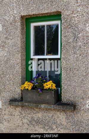 Fenster mit Fensterkasten und gelben Blumen Stockfoto