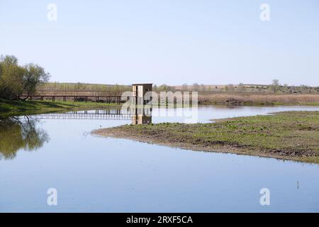 Vogelbeobachtungsstation aus Holz im Nationalpark Tablas de Daimiel, Ciudad Real (Spanien) Stockfoto