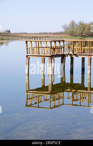 Hölzerne Fußgängerbrücke mit Geländer am Fluss. Nationalpark Tablas de Daimiel. Ciudad Real. Spanien. Stockfoto