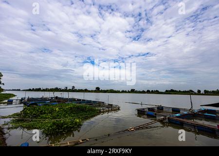 Aufzucht von Fischen in Käfigen auf dem Hintergrund des Flusses für Werbung und Tapeten in Wasser- und Süßwasserfischen. Tatsächliche Bilder beim Dekorieren Stockfoto