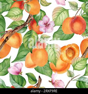Nahtloses Muster des Astes mit Aprikosen, grünen Blättern isoliert auf weiß. Obstbaummalerei, Obstbaummalerei von Hand gezeichnet. Designelement für Karte, Stockfoto