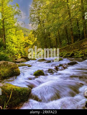 Die Enz im Park Bad Wildbad im Schwarzwald. Baden-Württemberg Stockfoto