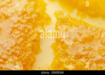 Honigwabe mit Honig in der Nahaufnahme. Goldene, wunderschöne Wabe mit Honig. Stockfoto