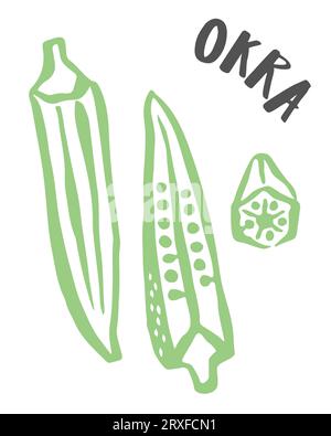 Okra handgemalt mit Tintenpinsel isoliert auf weißem Hintergrund Stock Vektor