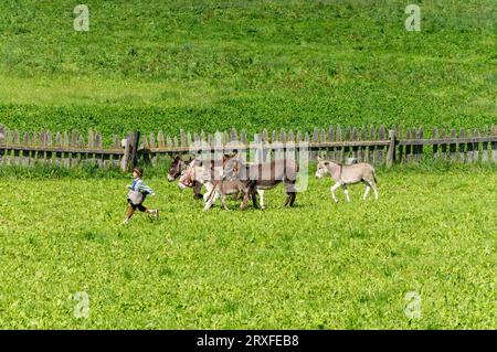 Kinder in Tiroler Kostümjäger Esel, Almabtrieb in Südtirol Stockfoto