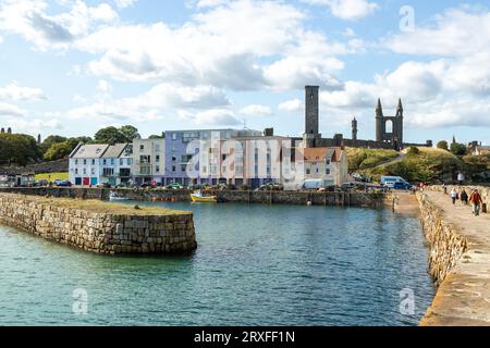 St Andrews Hafen bei Flut mit St Rule's Tower und St Andrews Kathedrale am Horizont. Stockfoto