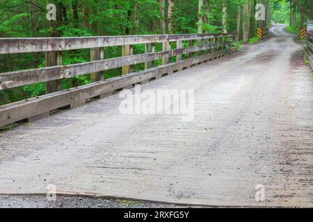 Brücke über den Middle Prong des Little Pigeon River im Greenbrier-Abschnitt auf der Tennessee-Seite des Great Smoky Mountains-Nationalparks. Stockfoto