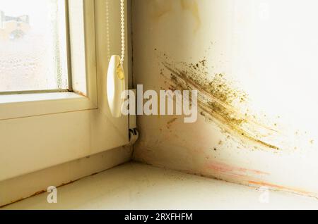 Gussform am Hang in der Nähe des Fensters. Feuchtigkeit. Schimmel, Pilze, Muftigkeit, Schimmel Stockfoto