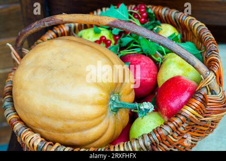 Herbstgeschenke. Riesiges Gemüse im Wagen. Gemüse in einem Korb aus Korbgeflecht. Kürbisse unterschiedlicher Grösse. Konzept Herbsternte Gemüseernte Stockfoto