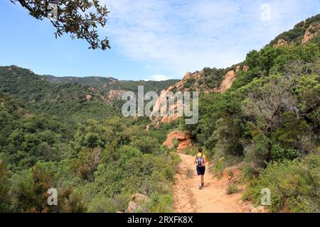 Das bergige Wandergebiet rund um cardedu auf sardinien Stockfoto