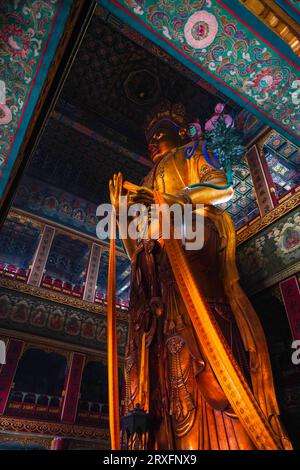 Peking – China, 27. Februar 2023: Die 18 m hohe Statue von Maitreya Bodhisattva, die im Wanfo-Pavillon des Yonghe-Tempels in Peking aufbewahrt wird. Stockfoto