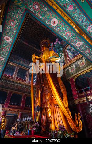 Peking – China, 27. Februar 2023: Die 18 m hohe Statue von Maitreya Bodhisattva, die im Wanfo-Pavillon des Yonghe-Tempels in Peking aufbewahrt wird. Stockfoto