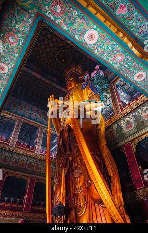 Peking – China, 27. Februar 2023: Die 18 m hohe Statue von Maitreya Bodhisattva, die im Wanfo-Pavillon des Yonghe-Tempels in Peking aufbewahrt wird. Stockfoto