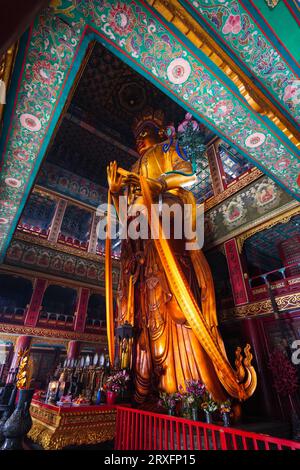 Peking – China, 27. Februar 2023: Die 18 m hohe Statue von Maitreya Bodhisattva, die im Wanfo-Pavillon des Yonghe-Tempels in Peking aufbewahrt wird. Stockfoto