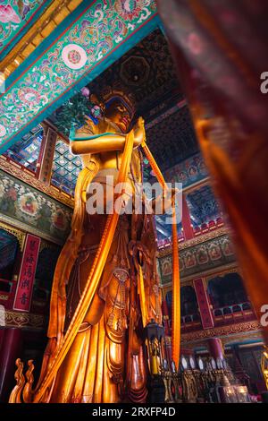 Peking – China, 27. Februar 2023: Die 18 m hohe Statue von Maitreya Bodhisattva, die im Wanfo-Pavillon des Yonghe-Tempels in Peking aufbewahrt wird. Stockfoto