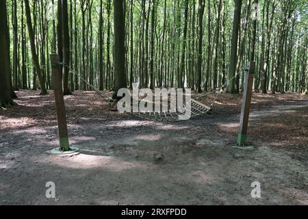 Ein Ort zum Entspannen im Nationalpark Jasmund auf der Ostseeinsel Rügen Stockfoto