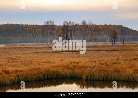 GREATER KHINGAN, CHINA - 24. SEPTEMBER 2023 - die Landschaft des Nanweng River International Wetland in der Greater Khinganling Region von Heilongjiang Stockfoto