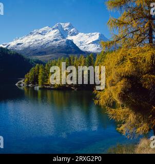 Herbstblick über den Silser See im Oberengadin zum Alpendorf Isola, mit Piz da la Margna oben, Schweiz Stockfoto