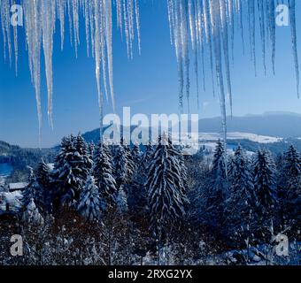 Blick im Hochwinter nach Süden bis zum Hochgrat bei Steibis vom MONDI-Ferienclub in Oberstaufen, einem preisgekrönten Zeitvertreib Stockfoto